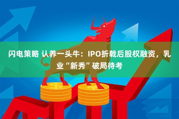 闪电策略 认养一头牛：IPO折戟后股权融资，乳业“新秀”破局待考