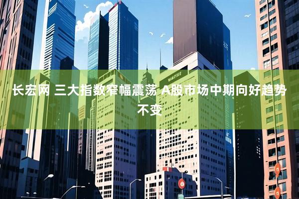 长宏网 三大指数窄幅震荡 A股市场中期向好趋势不变