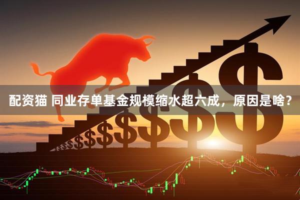 配资猫 同业存单基金规模缩水超六成，原因是啥？