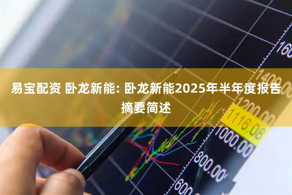 易宝配资 卧龙新能: 卧龙新能2025年半年度报告摘要简述