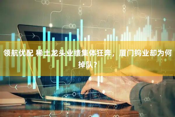 领航优配 稀土龙头业绩集体狂奔，厦门钨业却为何掉队？