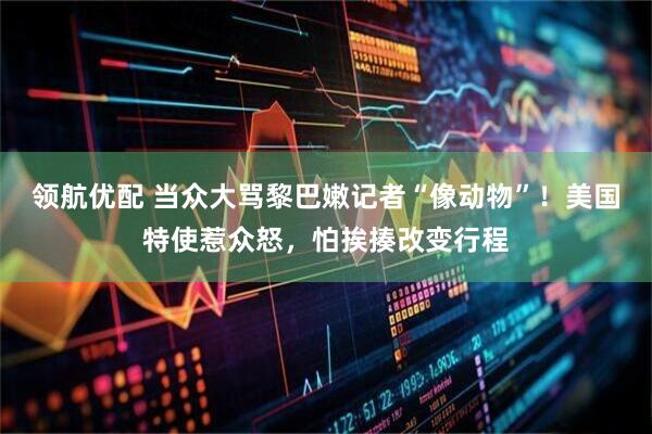 领航优配 当众大骂黎巴嫩记者“像动物”！美国特使惹众怒，怕挨揍改变行程